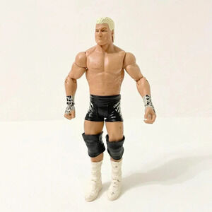 2010 Mattel  WWE Wrestling Dolph Ziggler Figure WWF WCW